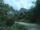 People have tried to build their house in the middle of nature 