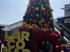 The Christmas spirit has arrived in Lima - posing with the Christmas tree in Miraflores 