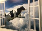 You may have heard of "when pigs fly," but what about "when cows fly?"; this poster is a great example of the sense of humor on the Lamberg farm