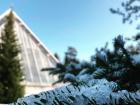 Snow falls outside, but inside the greenhouses, there are tropical and even desert plants