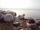 Salt on rocks at the Dead Sea