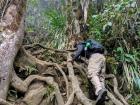 Colombia has transformed my definition of a hike!