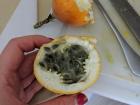 To eat a granadilla, I take the seeds out and then eat the inside with a spoon