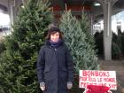 Feeling chilly at the Christmas tree market last winter