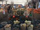 It's squash season at Marche Jean Talon!