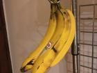 Banana peels, apple cores, carrot tops and chicken bones can all be composted!