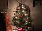 ...a mini Christmas tree