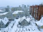 The snowy view from my bedroom window