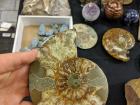 Another cool find at the Mineral Show -- nature can make some really cool things!