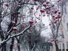 Walking around is really beautiful after it snows! This was my walk home last week!