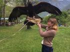 One of my favorite memories from studying abroad. When will you ever get the chance to hold an eagle again??