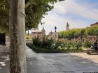 The Plaza de Cervantes is full of rose bushes.