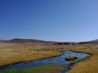 A view of the wetlands in the Atacama Desert 