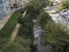 This is the Río Barbaña, a creek that runs through the center of Ourense.  Many different types of trees line the banks of the creek for its entire length