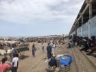 The famous fish market of Mbour where Bombardier worked as a child alongside his father