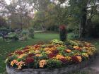 Colorful flower arrangement in the center of the park