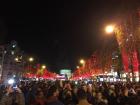 All the trees on one of the main streets of Paris were lit up for the holidays.