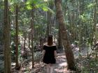 Walking through the Fraser Island Rainforest