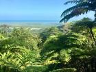 Here's a lookout view of the Daintree Rainforest