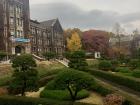 It is officially fall at Yonsei!