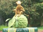 In this imagine, we see a monkey sitting on a sugar apple which is a fruit found only in southern Vietnam; specifically Tay Ninh. 
