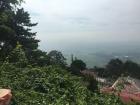 A foggy view of the surrounding town from halfway up the mountain. 