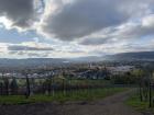 A view of Trier from a lookout point near my apartment