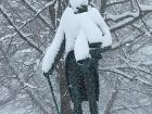 The Alexander Hamilton statue on campus wasn't ready for Upstate weather