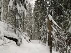 The trails featured up to 2 feet of snow, but were still well traveled by the time we arrived in the late afternoon