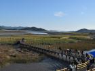 This is a beautiful eco park in South Korea.