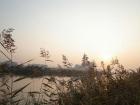 A view of the river during sunset hour.