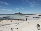 The beach at Jeju Island.