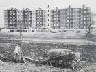 Seoul in the 1960s (Courtesy of Seoul Museum of History)