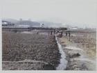 Farmland in Seoul in the 1960s (Courtesy of Seoul Museum of History)