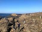 The Giant's Causeway basalt columns 