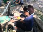 The homestay residents taught us how to cut the sugarcane that they feed to the elephants