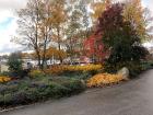 First sighting of fall foliage