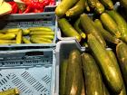 As I learned at the grocery store, "courgette" is zucchini in French