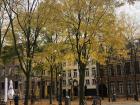 Fall in Antwerp - not too gloomy just yet!