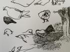 I got to sketch some birds!