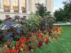 Beautiful gardens!