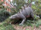 Ginkgo trees were around when there were dinosaurs, like this Stegosaurus sculpture in the botanical garden