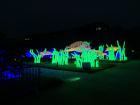 Look at these colorful illuminated ocean creatures on display for the winter at the Jardin des plantes (Paris Botanical Garden)