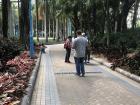 People in the park enjoying the day by playing Pokémon Go!