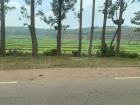 This is a typical tilled field in Rwanda's agricultural space