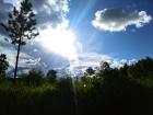 Sunny days are perfect for holding wedding ceremonies that last all day