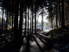 A dusting of snow glistens outside the forest near Allensbach