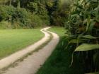 The path leading from Allensbach to Singen