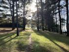 One of Oviedo's beautiful green parks on a sunny day