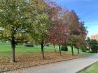 When it isn't raining, you can enjoy the beautiful fall leaves